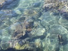 -三亚西岛海洋文化旅游区