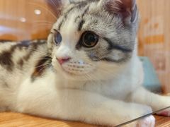 -Pets First伊珊娜洗护·精致美容·家庭式寄养(新会路店)