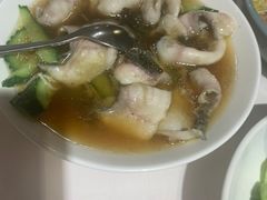 -席家花园(巨鹿花园店)