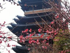 -杭州半山国家森林公园