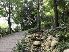 -成都市活水公园