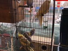 -玉桥餐厅(天坛店)