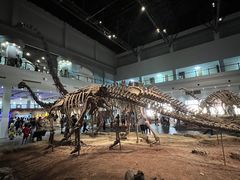 -自贡恐龙博物馆