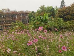 -广州市紫泥堂文化创意园景区