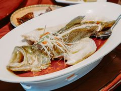 -燕郊烧鸽子(酷车小镇店)