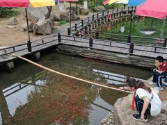-白马涧龙池景区
