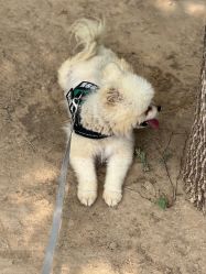 -萌宠亲子动物乐园(槐房万达店)