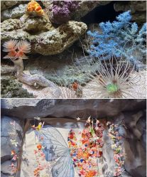 -Zoolung Zoolung动物主题公园(海信广场店)