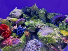 -海合安武汉极地海洋公园