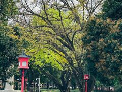 -广州中山纪念堂