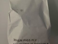 -WHEN PIGS FLY当猪飞