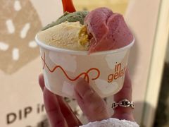 -Dip in Gelato(富民路店)