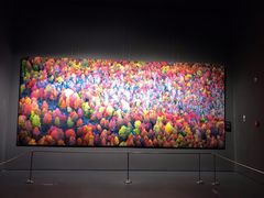 -罗红摄影艺术馆