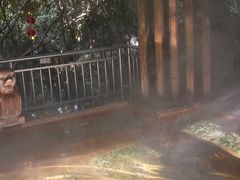 -张家港金凤凰度假村温泉