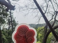 -香山公园