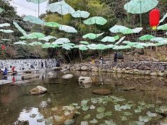 -石台牯牛降景区