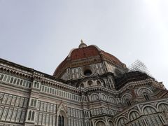 -圣母百花大教堂穹顶