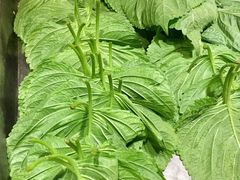 -小科自助海鲜烧肉(高区店)