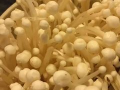 -巴国口福火锅(石桥铺店)