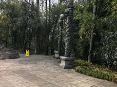 -千岛湖东南湖区