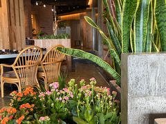 -园里火锅(仁和新城店)