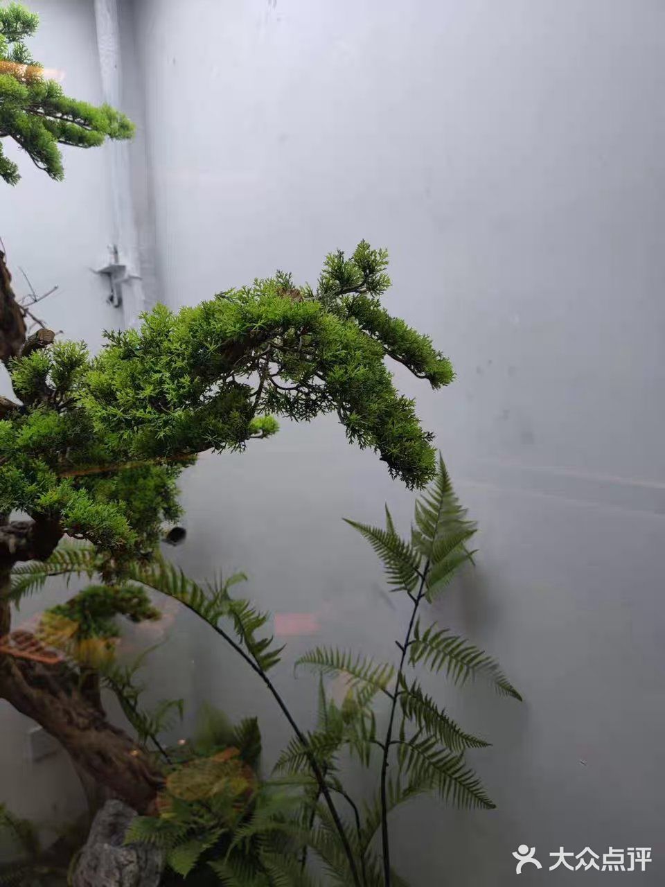 墙裂推荐一家地道的长沙菜 