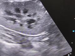 -宠颐生动物医院·心脏科·保险定点(锦阳分院)