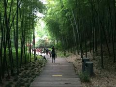 -天目湖山水园