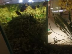 -极乐汇汗蒸会馆(杭州店)