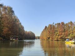 -上海海湾国家森林公园