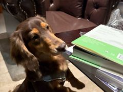 -二酉书店TOYOU BOOKS