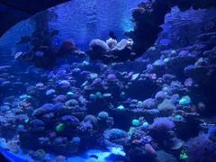 -太平洋海底世界