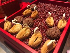 -嘉定凯悦·咖啡厅