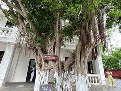 -白帝城·瞿塘峡景区