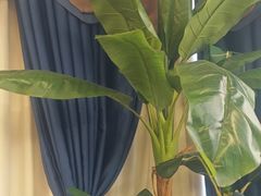 -文楼·淮扬菜·淮安早茶(河下古镇翔宇店)