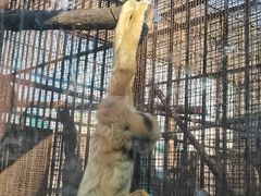 -昆明动物园