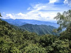 -牛背梁国家森林公园