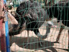 -武汉紫薇都市田园