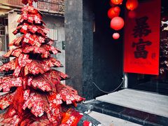 -溪岸路花鸟市场