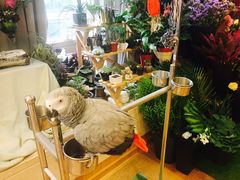 -森野花艺培训·企业团建活动沙龙