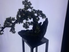 -滇铺子(欣都龙城店)