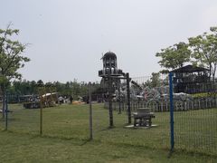 -上海长兴岛郊野公园