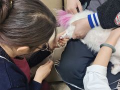 -美联众合动物医院·24h转诊中心