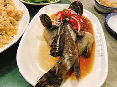 石斑鱼清蒸-四川小胡子海鲜(丁村万人海鲜广场店)