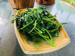 红薯苗-青城甲(青城山店)