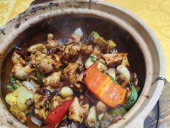 -天宝食坊·啫啫煲大排档(西华路店)