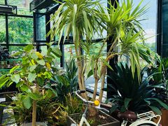 -北马山庄植趣咖啡