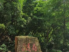 -大雁山风景区