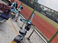 -浙江越秀外国语学院