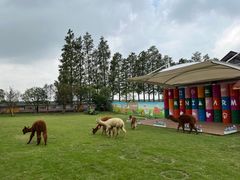 -太阳岛度假酒店